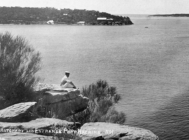 Burraneer Point looking towards Port Hacking, 1911