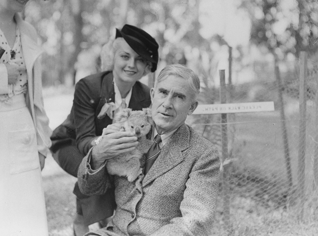 Nowl Burnet's Koala Park with Zane Grey holding a baby koala