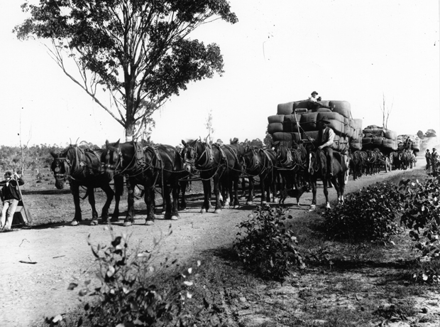 Horse team on Great Western Road