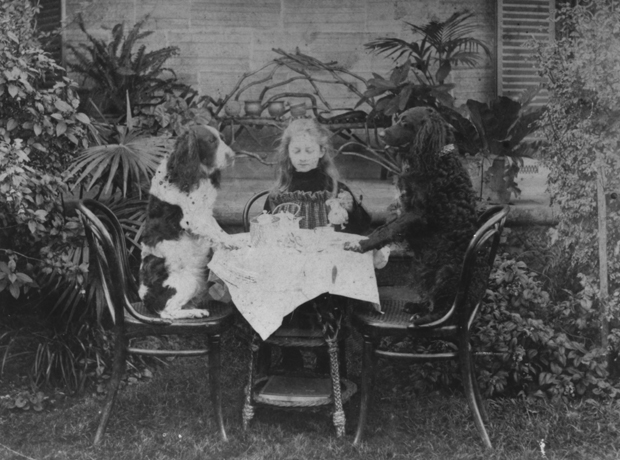 Kitty Barton having tea with her dogs